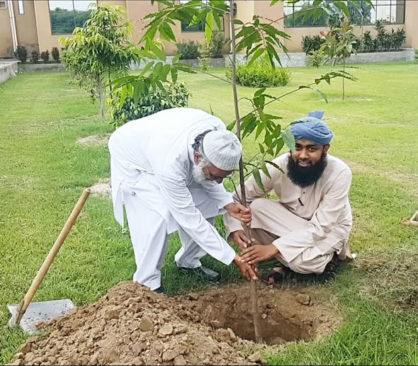 Soban Attari at Punjab University, photo 6 of 6